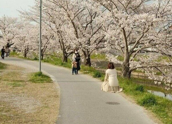 Isto é o que você pode conseguir com bastante prática de meditação