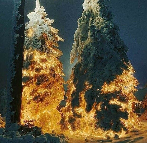 Você acha que as árvores estão pegando fogo? Pense novamente