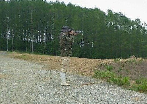 A camuflagem perfeita (desde que você não se mova nem um centímetro)