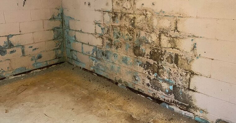 Basement Waterproofing