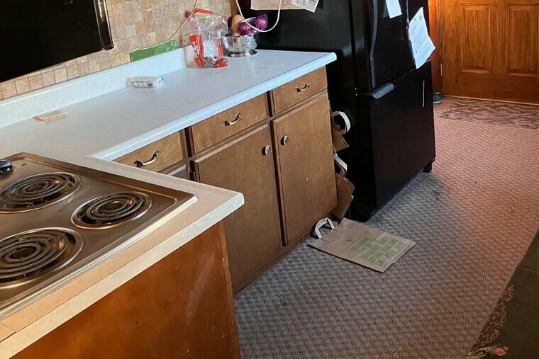 Carpet in the Kitchen