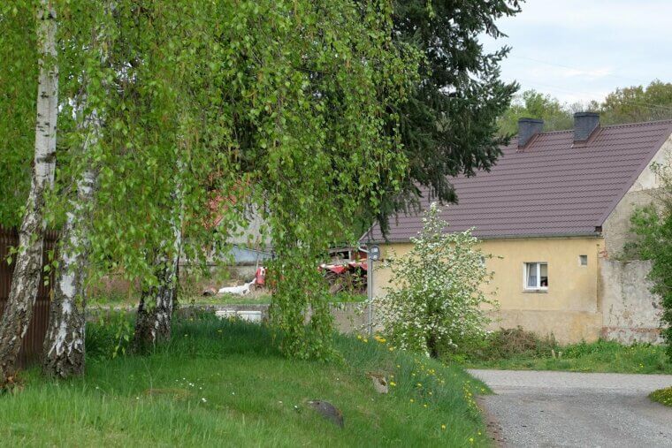 Planting Trees Badly