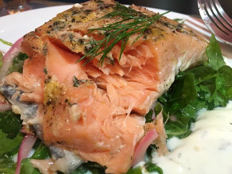 Salmon