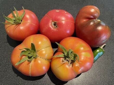 Tomatoes