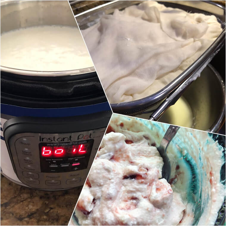 Maintain the Perfect Steady Temperature for Culturing Homemade Yogurt