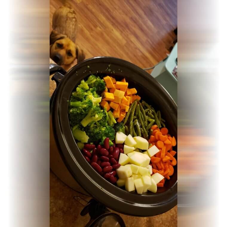 Prepare Homemade, Nutrient-Dense Meals for Your Dog Without Preservatives