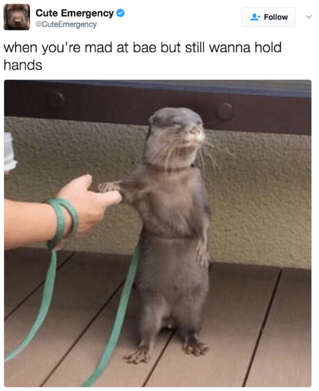 Physical Loving Still Required