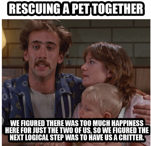 Watch Out: Paws Involved