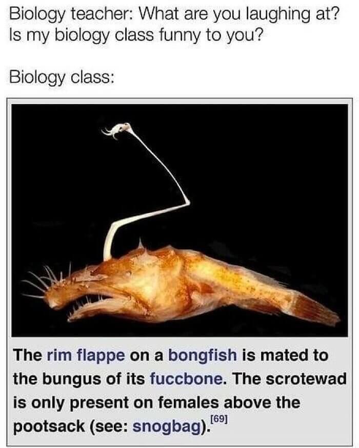 When Biology Is Something to Laugh About