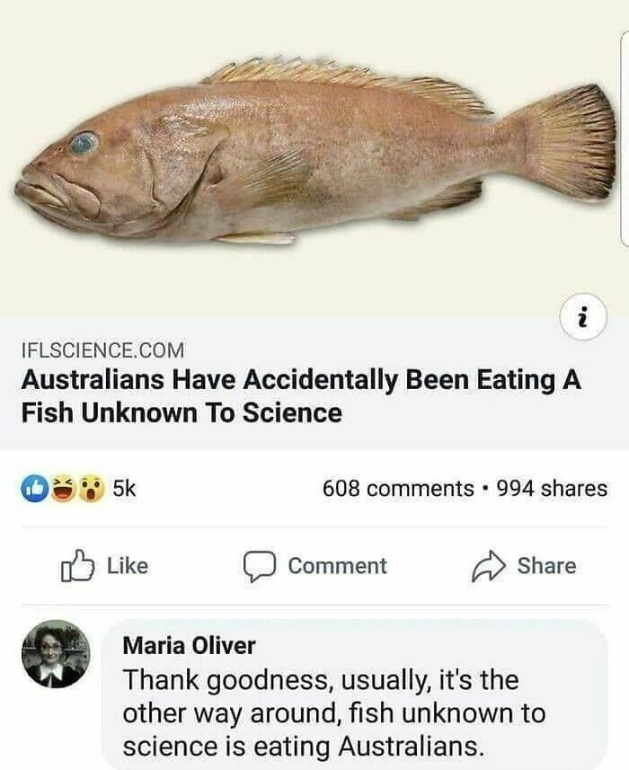 Australia's Delicious Mystery Fish