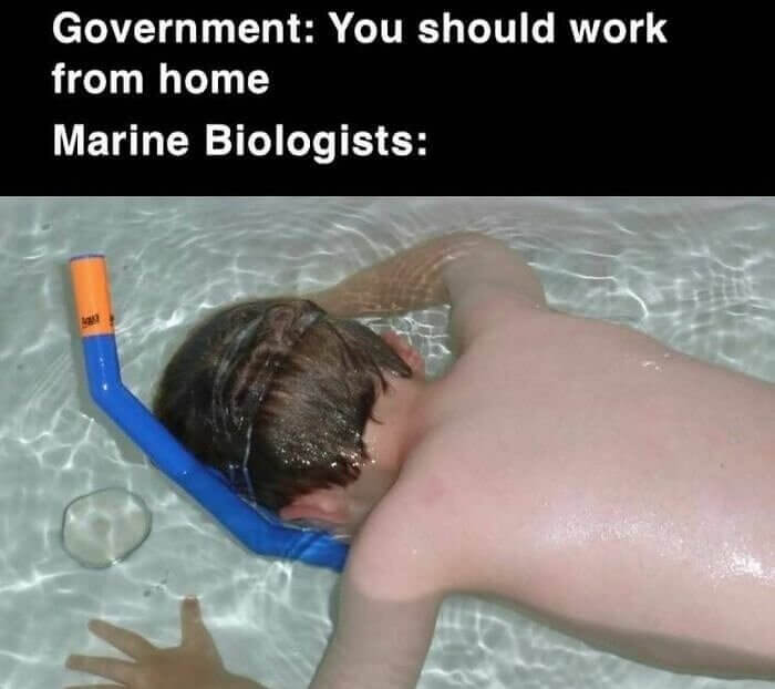 A Profession Where the Pandemic Doesn't Apply