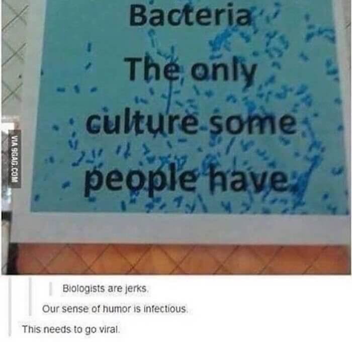 Pop Culture in Medical Terms