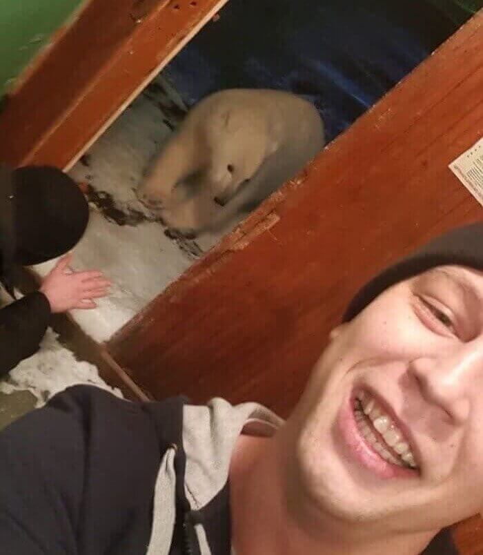 Knock Knock. Who's There?