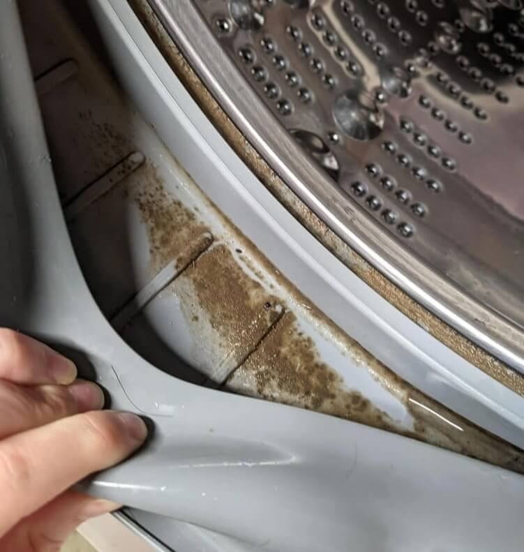 Use This to Clean Your Washer - Your Nose Will Thank You