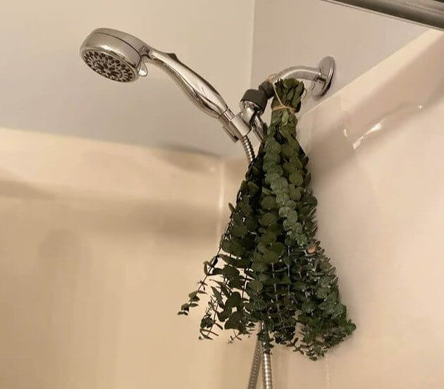Eucalyptus in the Bathroom Is a Game Changer