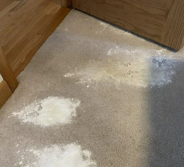 Your Carpets Probably Smell Even if You Don't Realize It - Here's What to Do