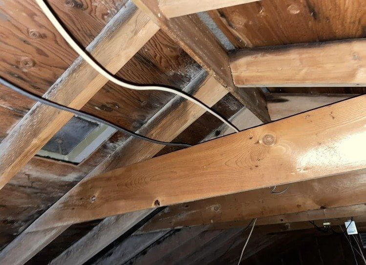 How to Get Rid of Any Smells in the Attic
