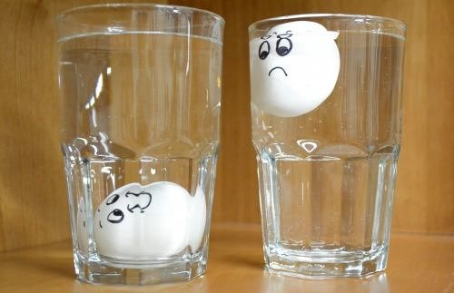 Eier Auf Frische Prüfen