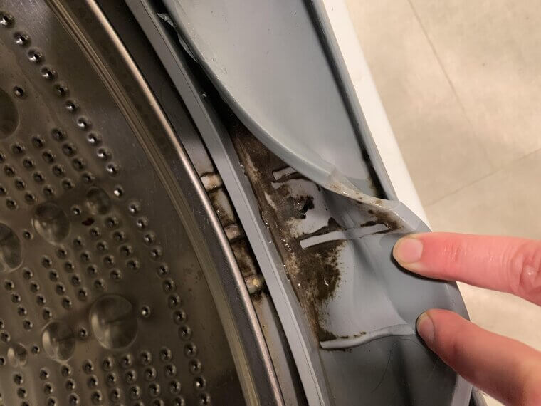 Washing Machine Mold Mayhem