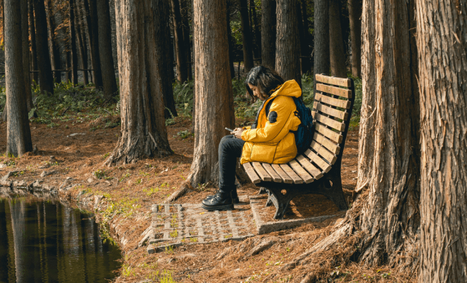 The Value of Stillness During a Busy Journey