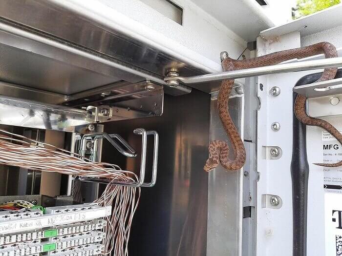 Why Is That Cable Hissing?