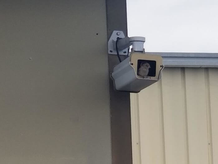 Tweet For Tech Support