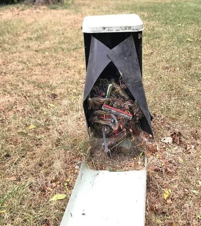 The Internet Is Currently Nesting