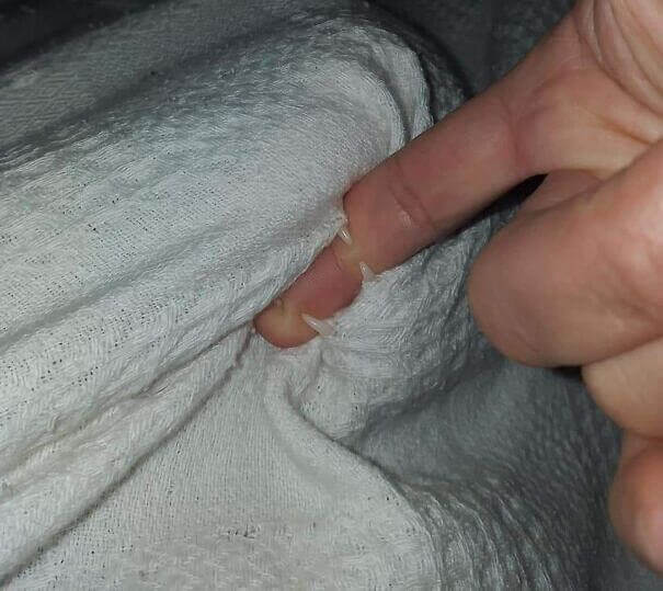 Getting Bit By A Ghost Cat!