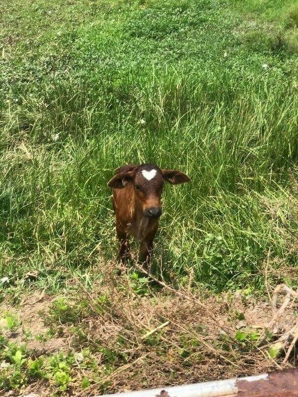 When Nature Wants You To Stand Out In A Crowd