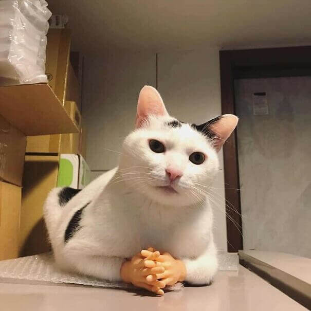 So What Qualifies You For This Position?