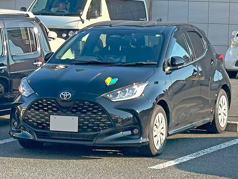 Compact Cars: Black (13%)