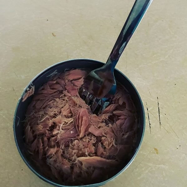 Le thon scellé