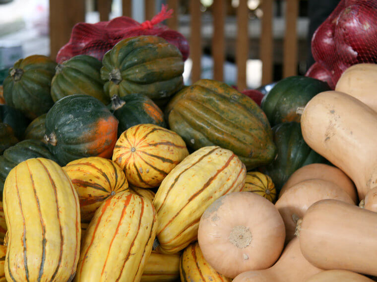 Les courges d'hiver (butternut, hiver, etc.)