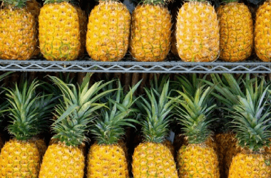 Old Remedies for Joint Pain That Might Still Work