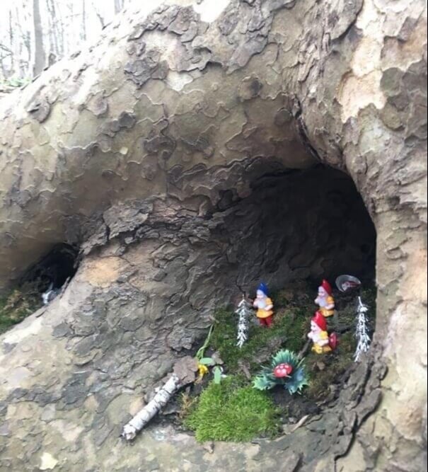 Little Gnomes Taking Over The Park