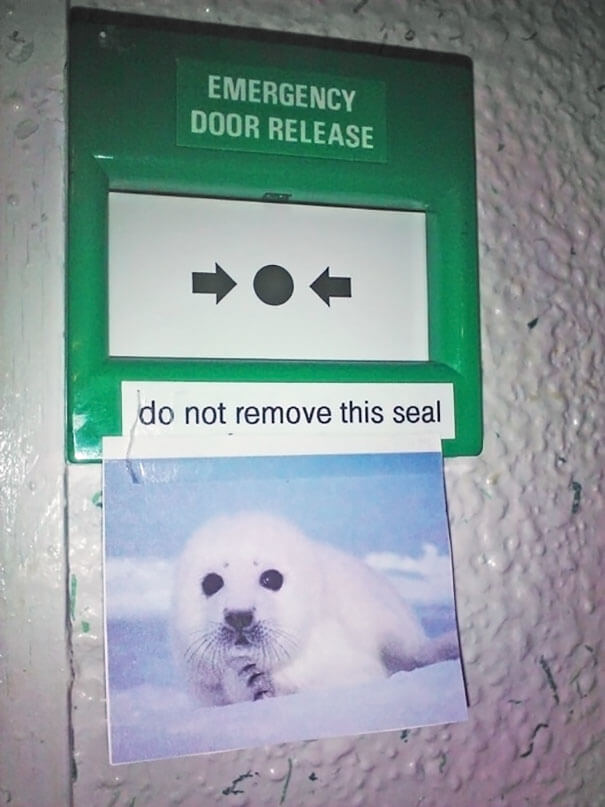 The Seal Must Stay