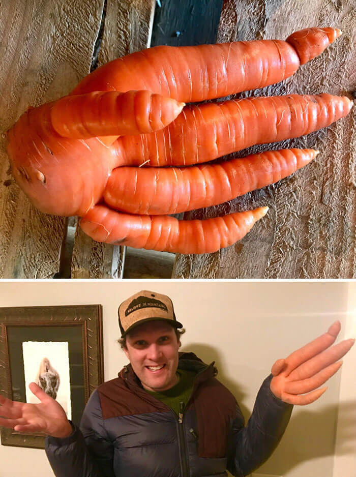 A Handy Carrot