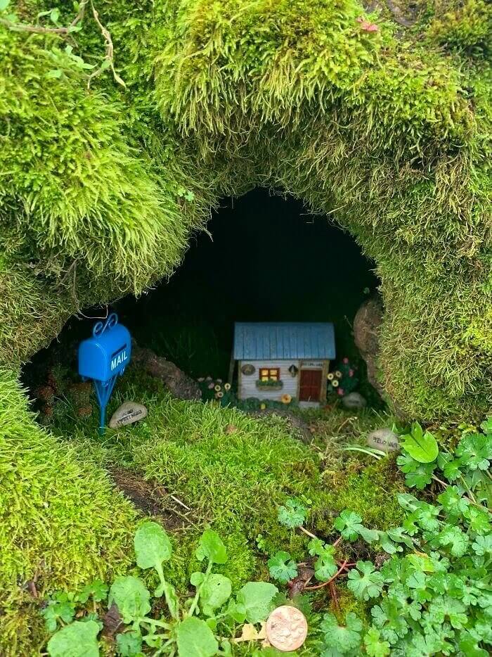 Did They Just Discover Fairies?