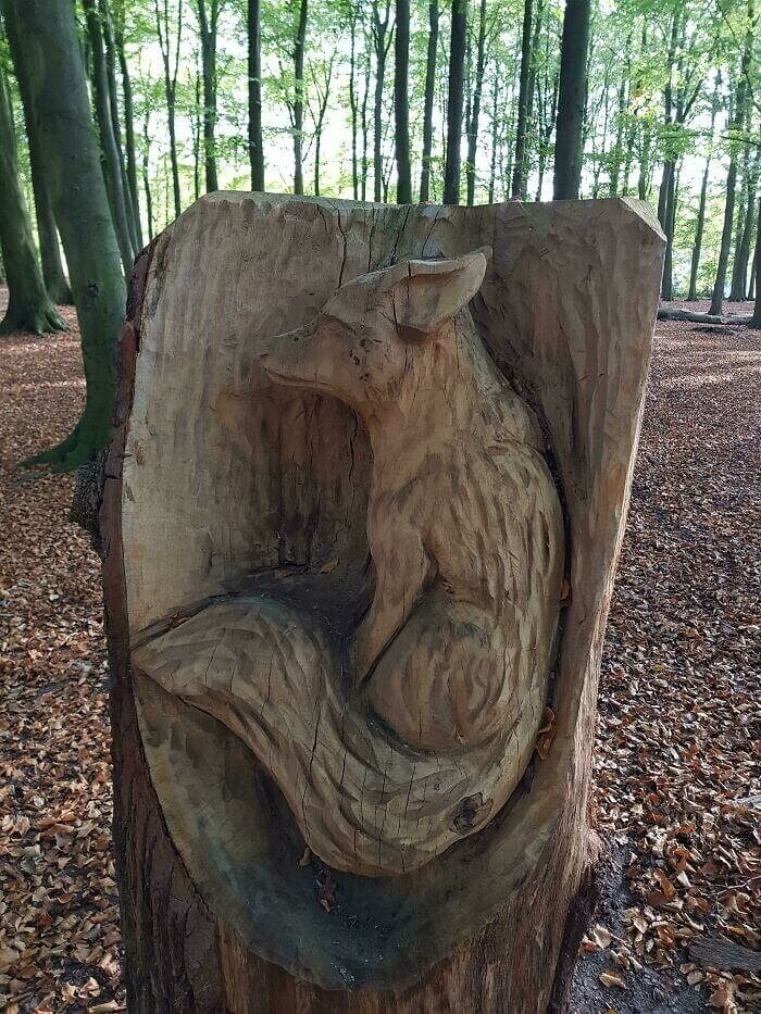 Someone Carved A Fox Into This Tree In The Middle Of The Forest