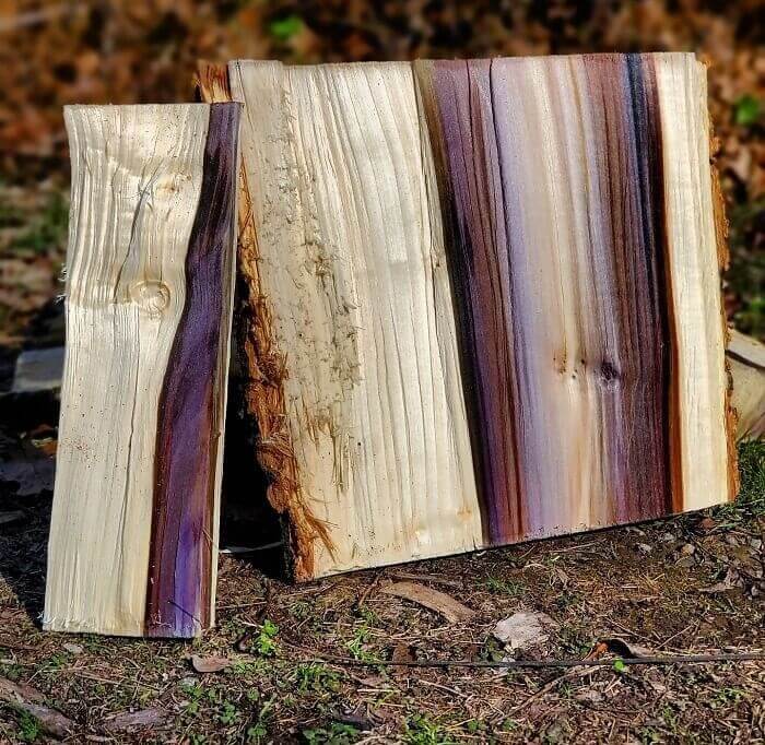 While Chopping Wood They Found A Log With Beautiful Colors Inside