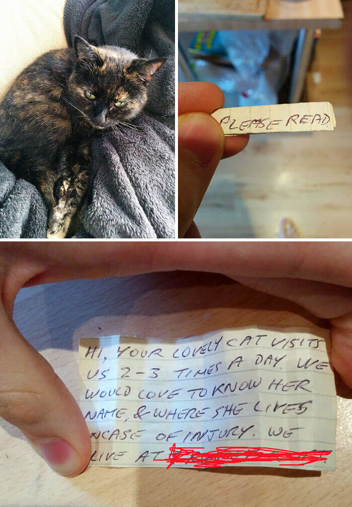When The Cat Came Home, She Had A Note Attached To Her