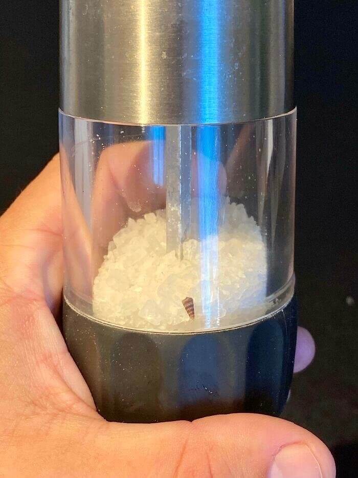 A Shell Hiding In Their Sea Salt So You Know It's Genuine