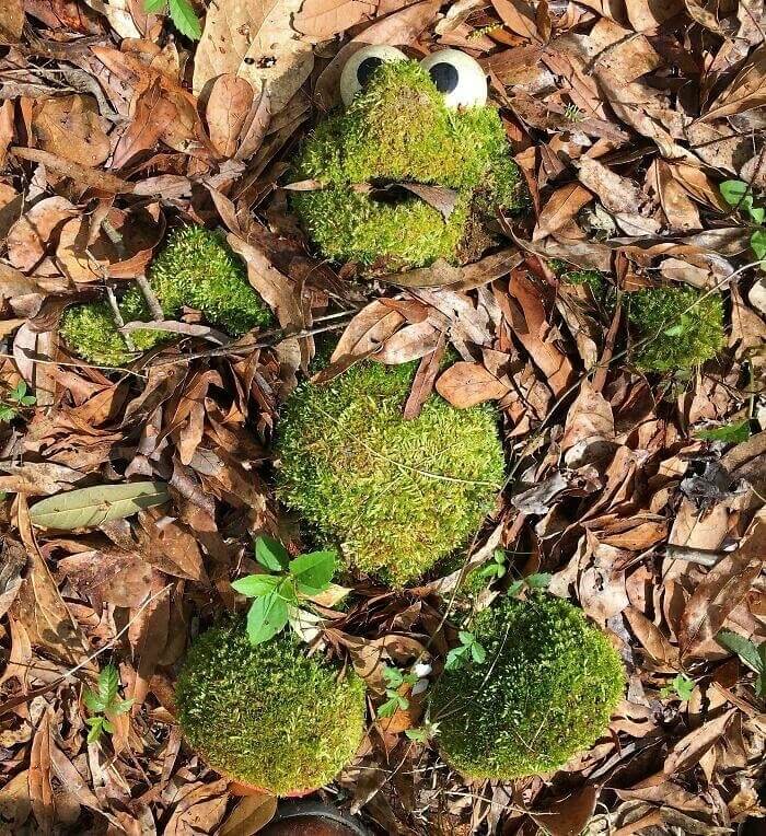 Someone Is Missing Their Elmo Toy That Is Now Covered In Moss