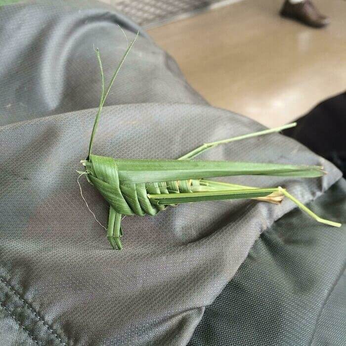 Someone Left Behind An Origami Grasshopper On The Train