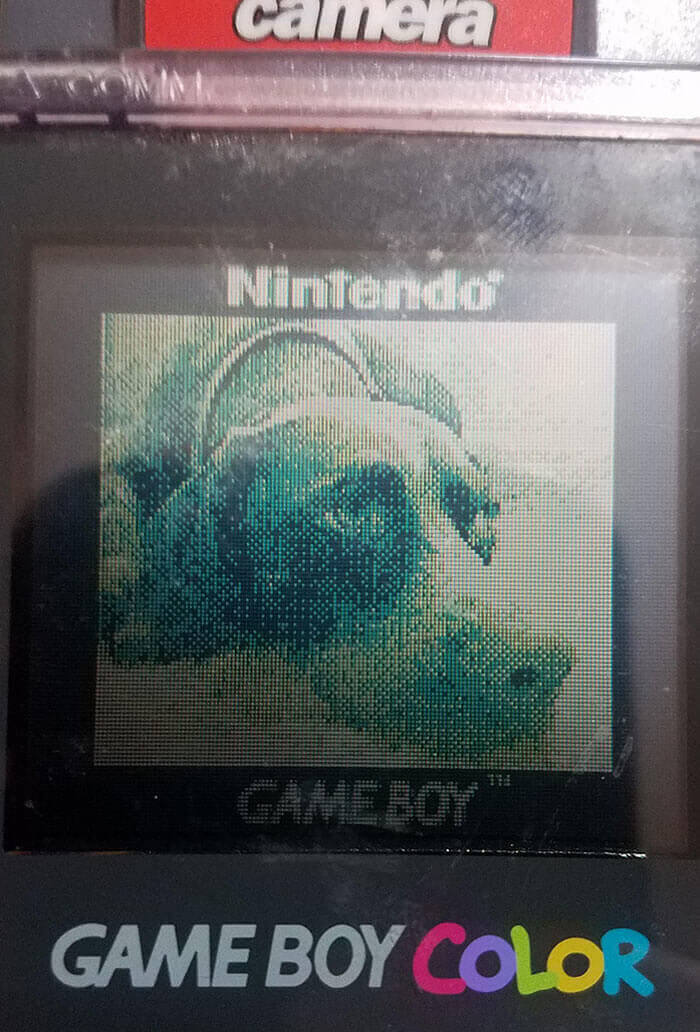While Turning On His Old Game Boy, He Found A Picture Of His Dog From 1999