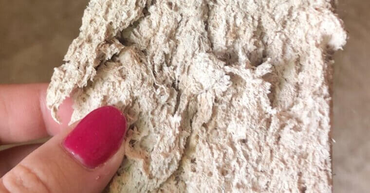 Using the Same Sponge for Everything