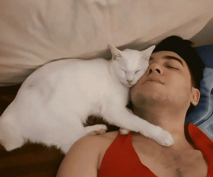 Cat Cuddles Represent Pure Love and Trust