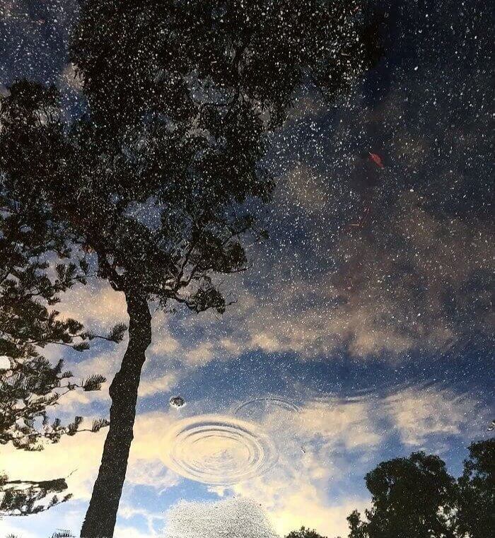 Мы Все Можем Согласиться С Тем, Что Инопланетяне Существуют, Верно?