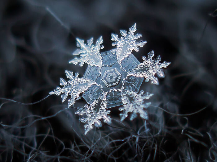 O Floco De Neve Mais Perfeito Que O Mundo Já Viu
