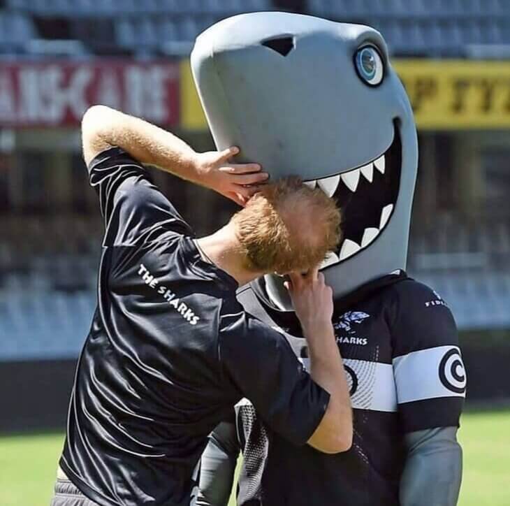 Harry kommt ganz nah an einen Hai heran